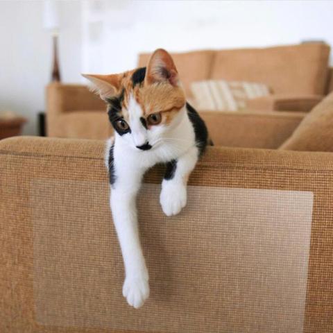 Furniture Protection Tapes (2 Pieces) Must-have for Cat Owner